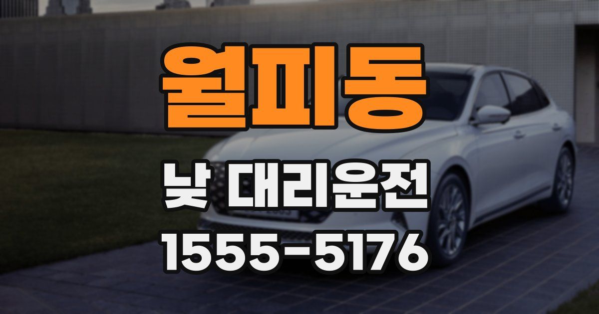 월피동 낮 대리운전