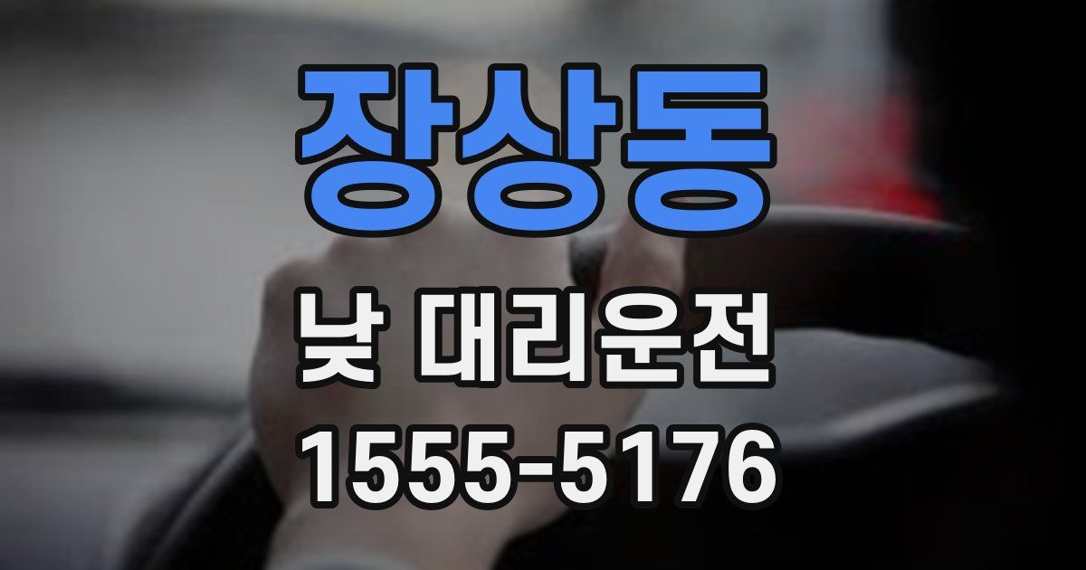 장상동 낮 대리운전