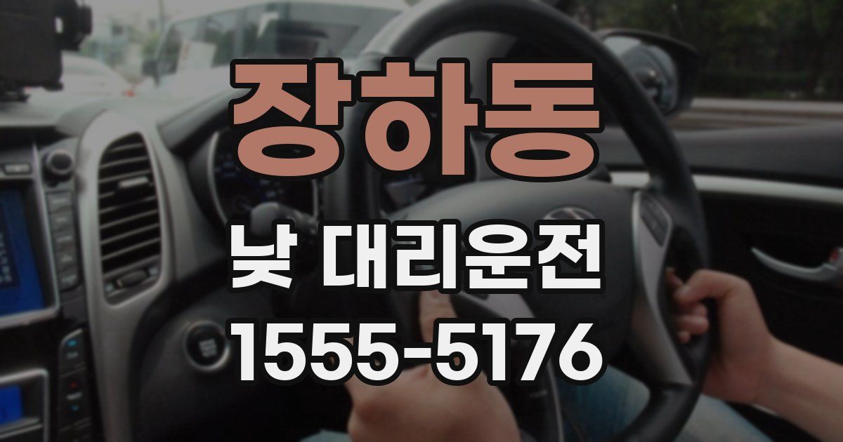 장하동 낮 대리운전