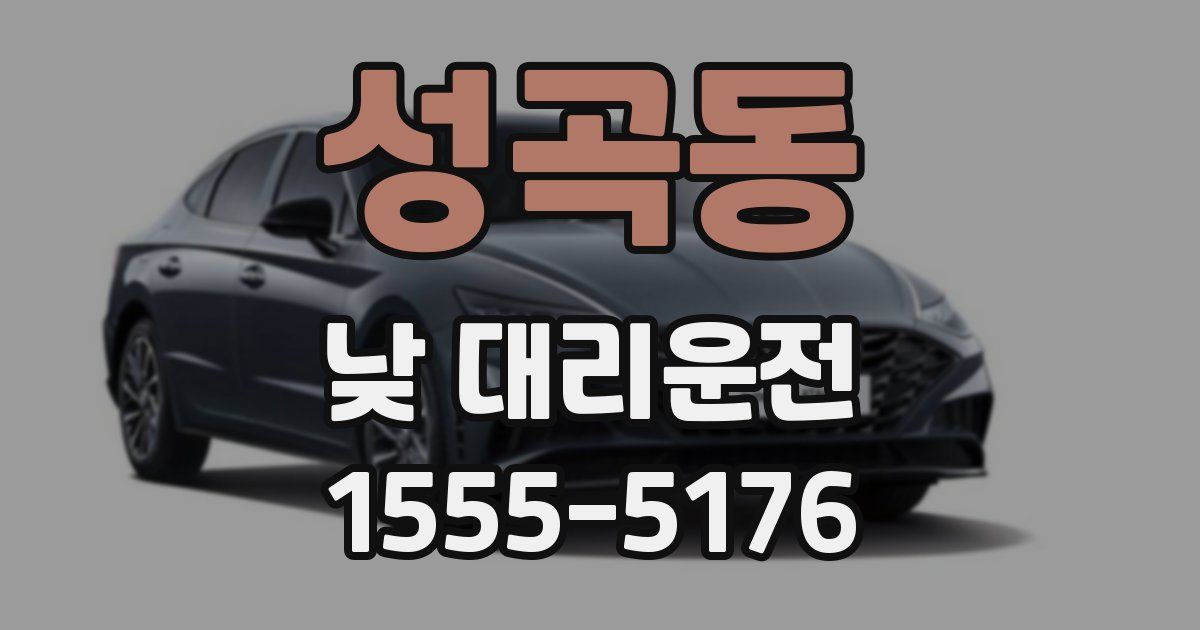 성곡동 낮 대리운전