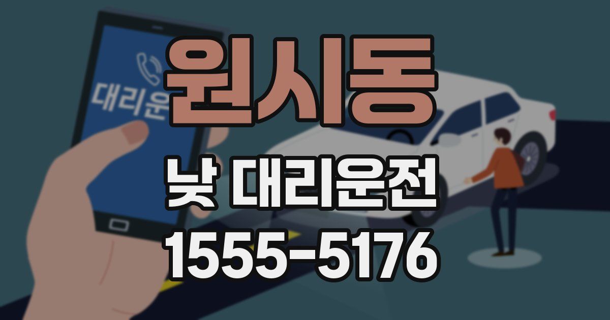원시동 낮 대리운전
