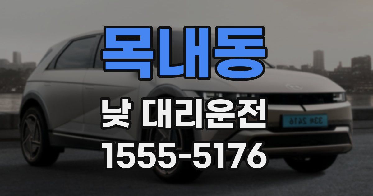 목내동 낮 대리운전
