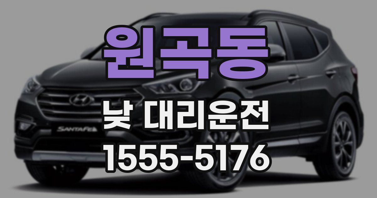 원곡동 낮 대리운전
