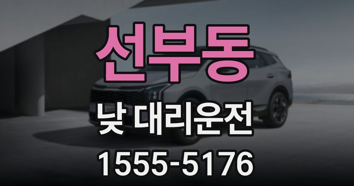 선부동 낮 대리운전