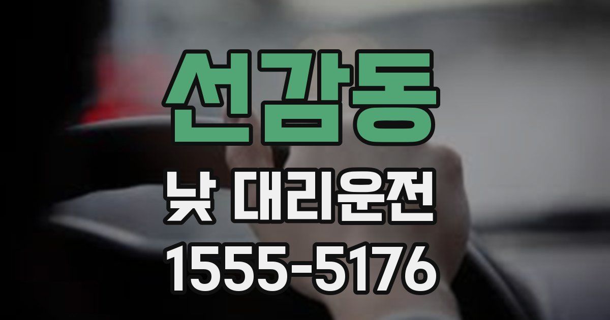 선감동 낮 대리운전