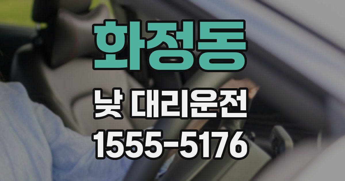 화정동 낮 대리운전