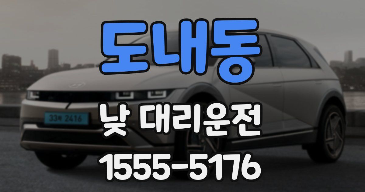 도내동 낮 대리운전