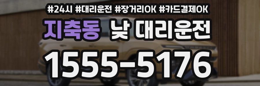 지축동 낮 대리운전