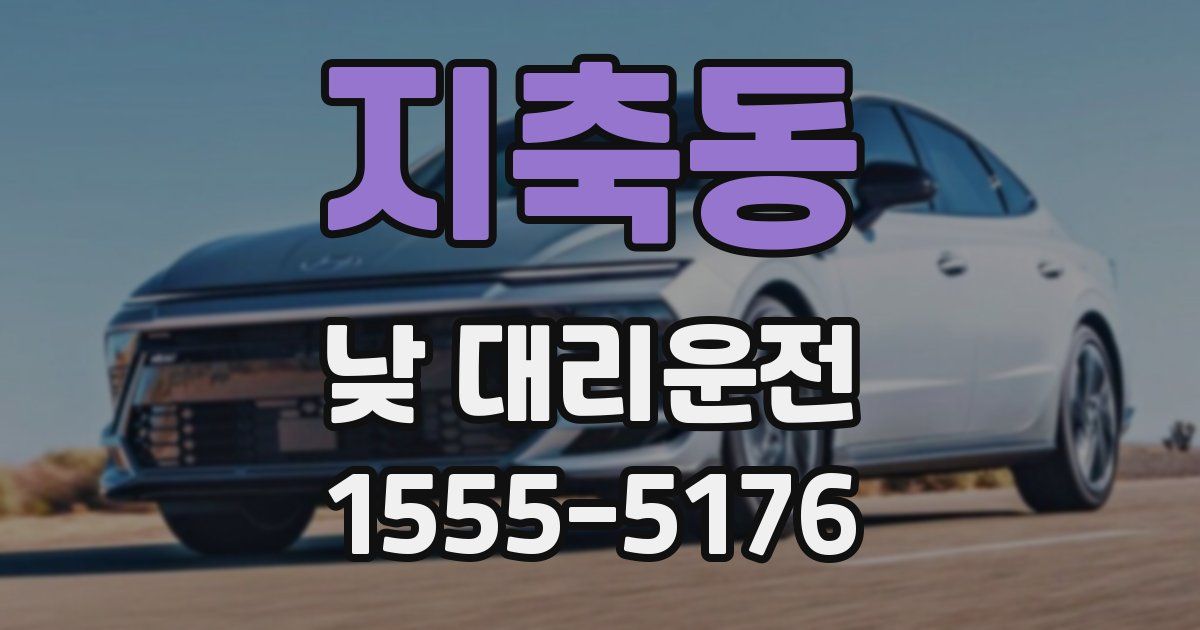 지축동 낮 대리운전