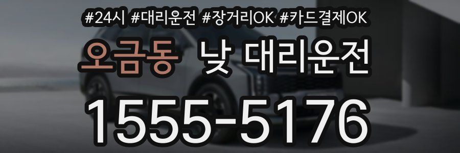 오금동 낮 대리운전