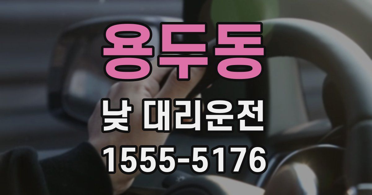 용두동 낮 대리운전