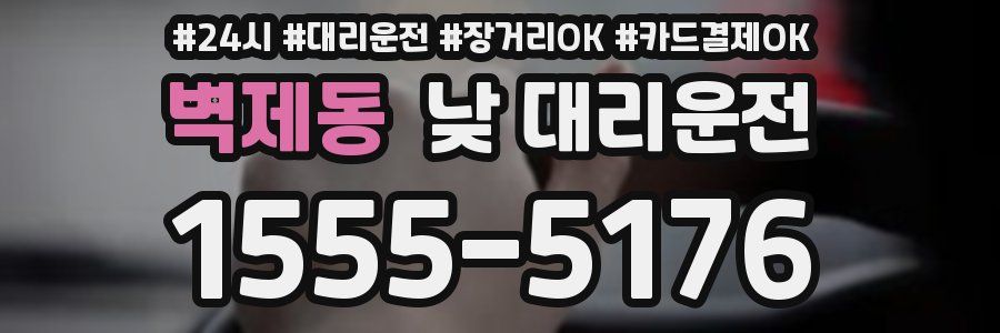 벽제동 낮 대리운전