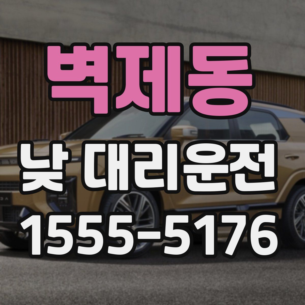 벽제동 낮 대리운전