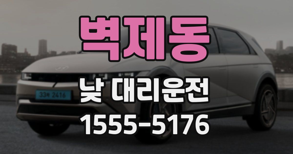 벽제동 낮 대리운전