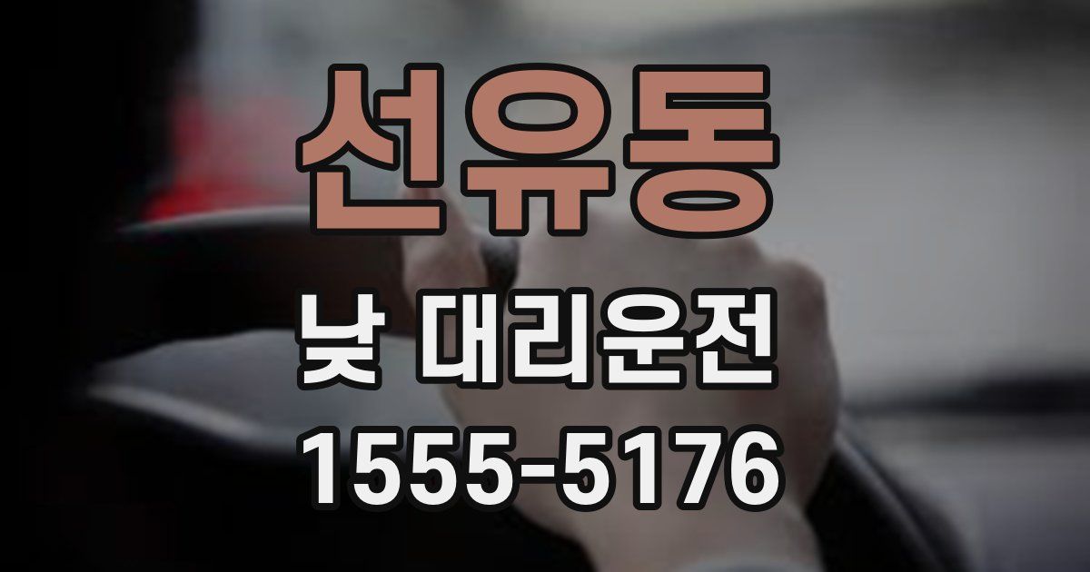 선유동 낮 대리운전