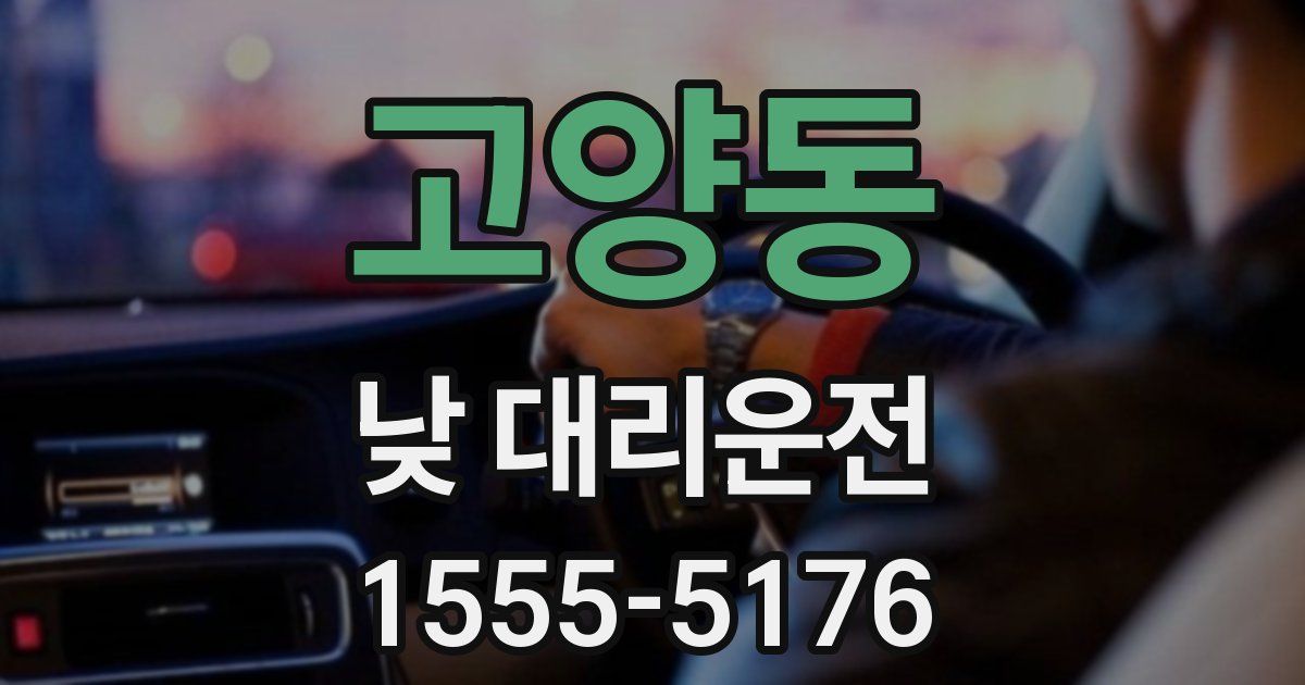 고양동 낮 대리운전
