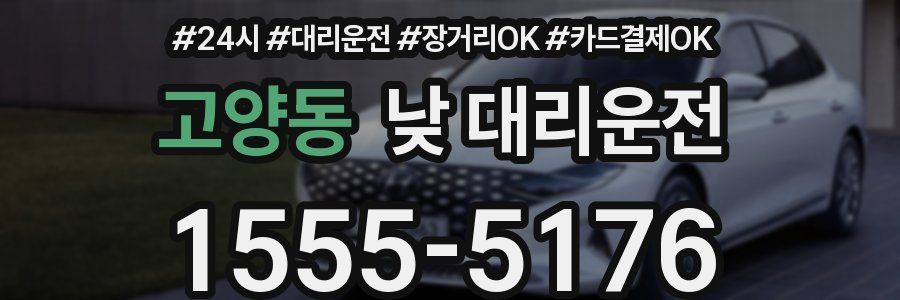 고양동 낮 대리운전