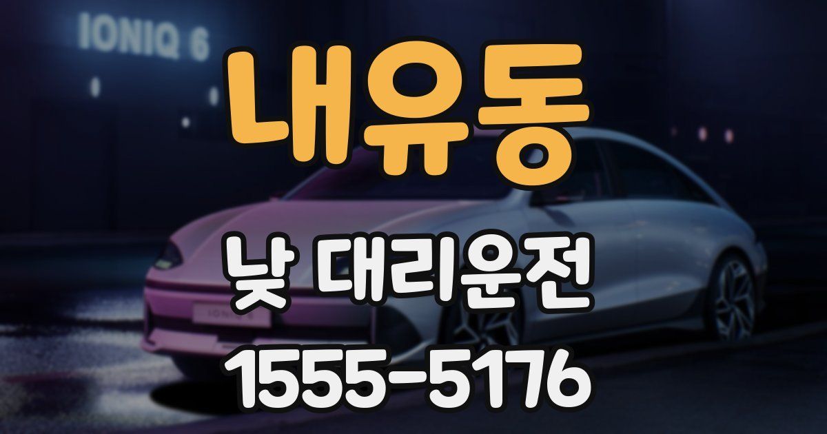 내유동 낮 대리운전