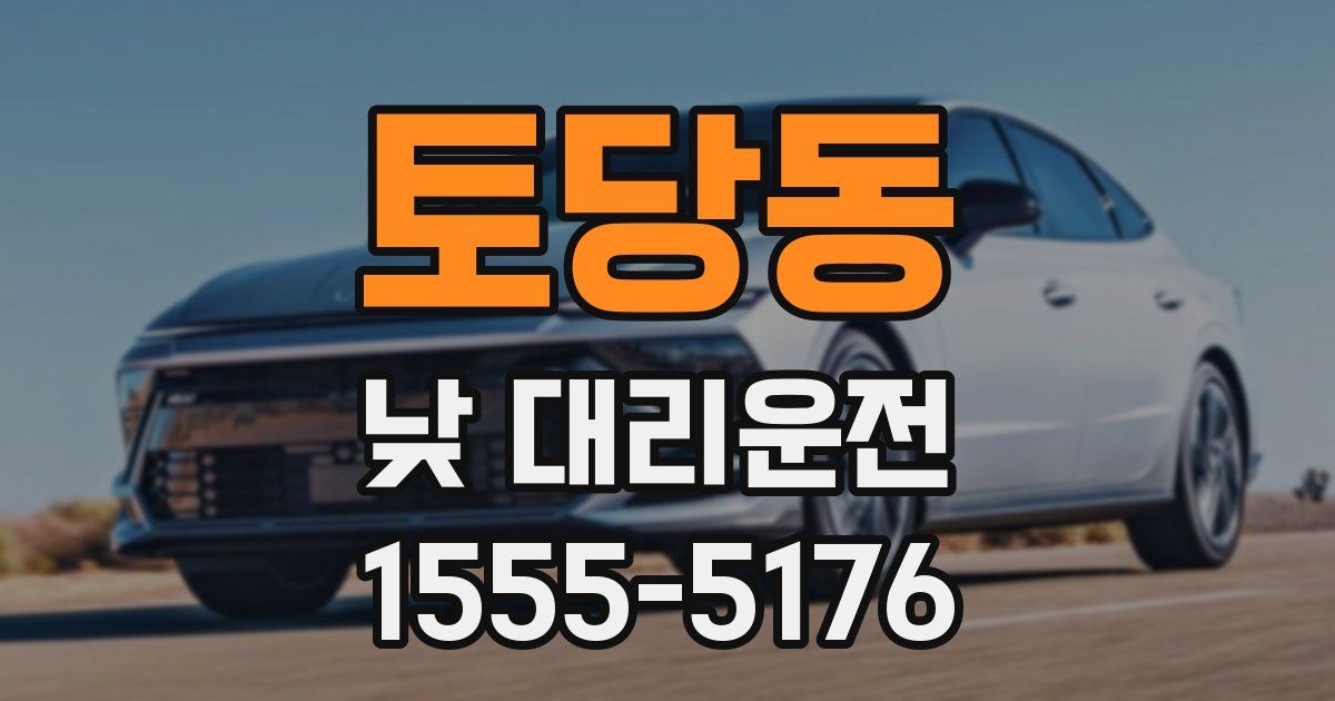 토당동 낮 대리운전