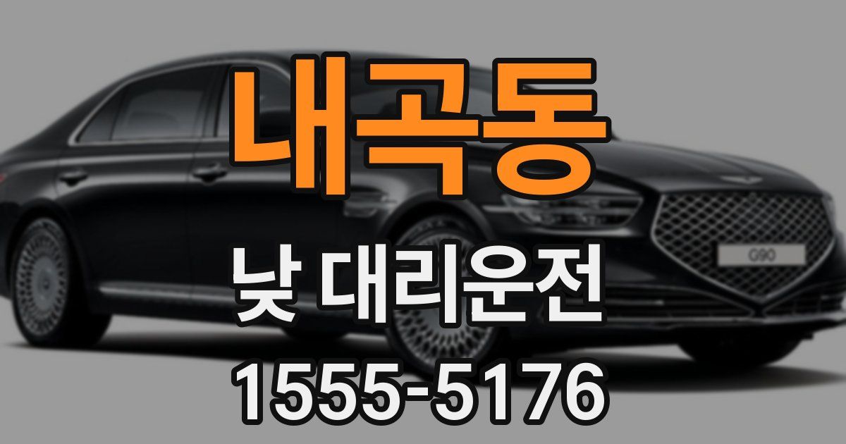 내곡동 낮 대리운전