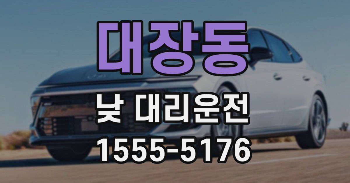 대장동 낮 대리운전