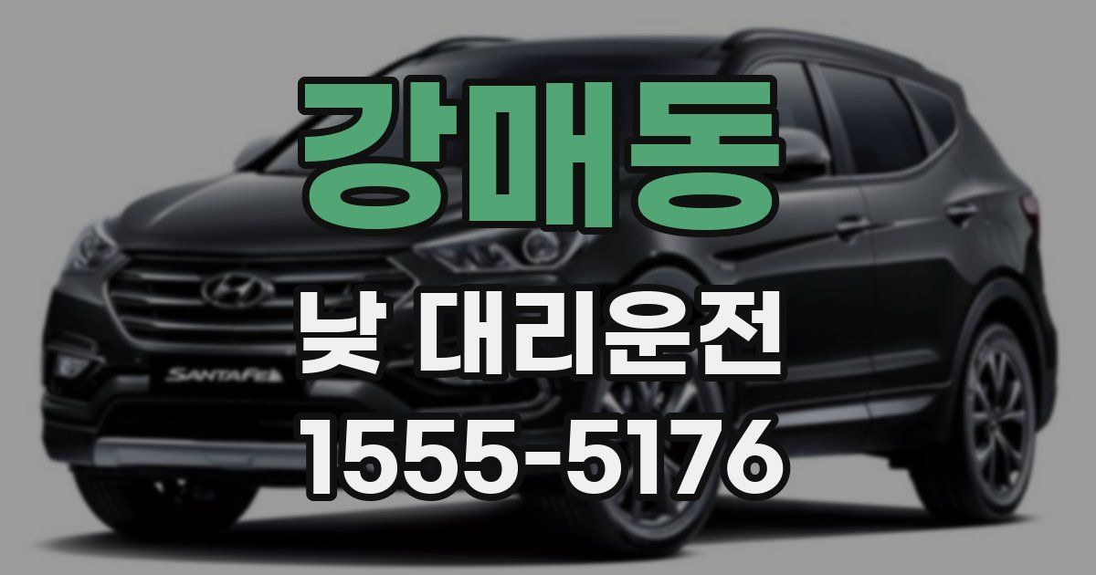강매동 낮 대리운전