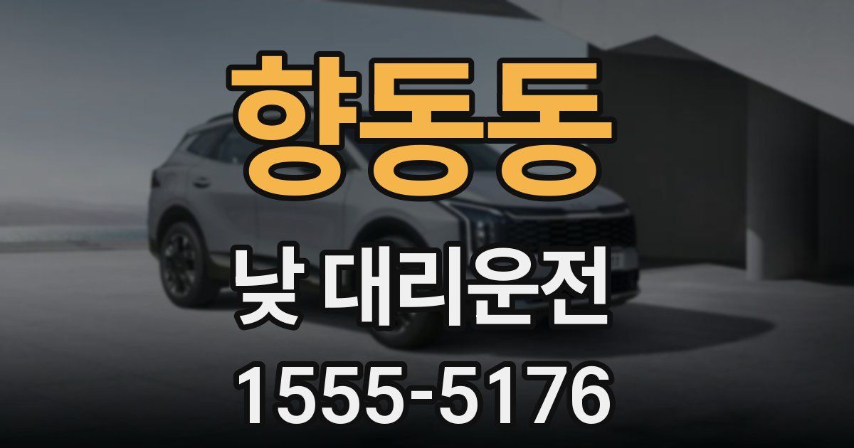 향동동 낮 대리운전