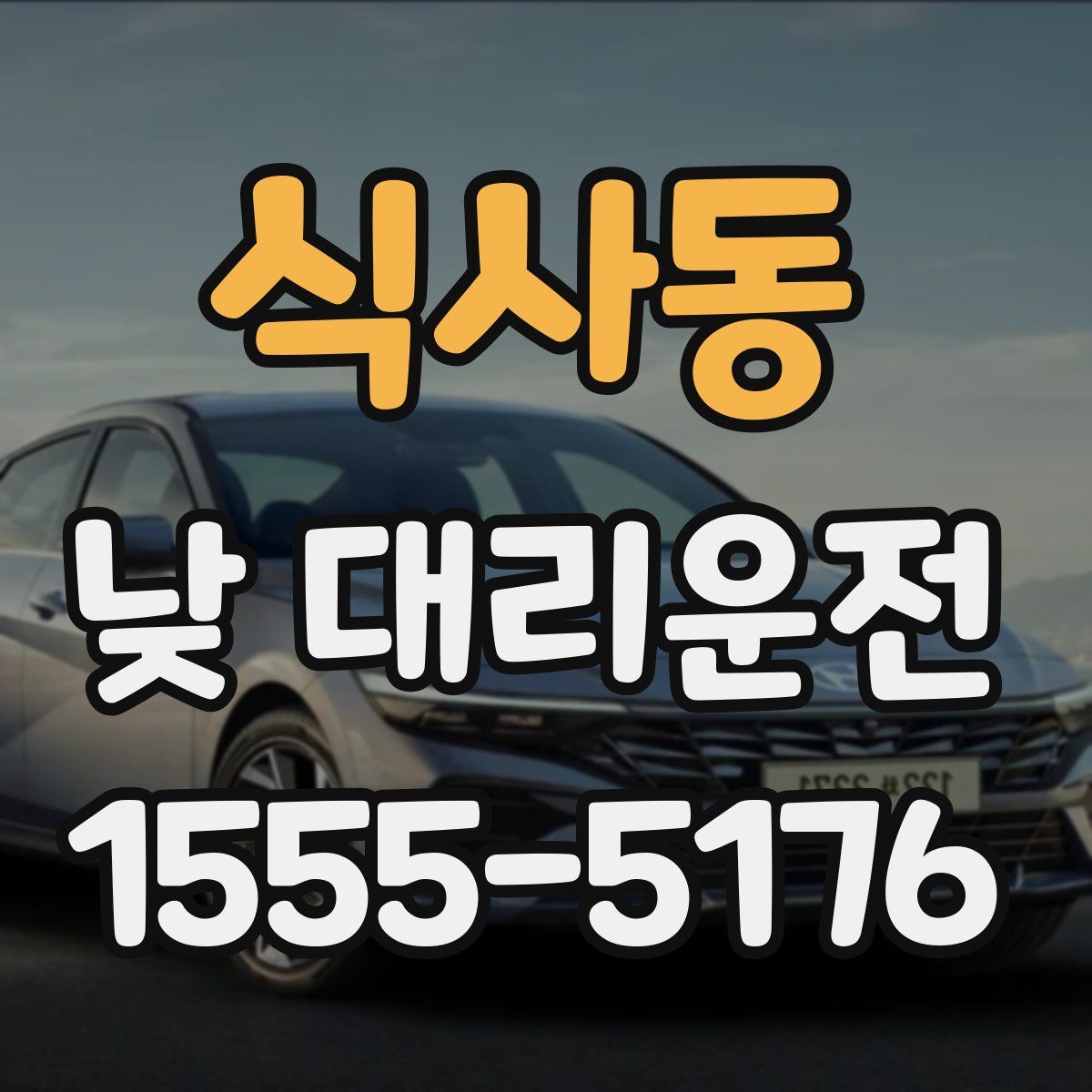식사동 낮 대리운전