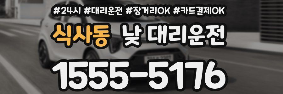 식사동 낮 대리운전