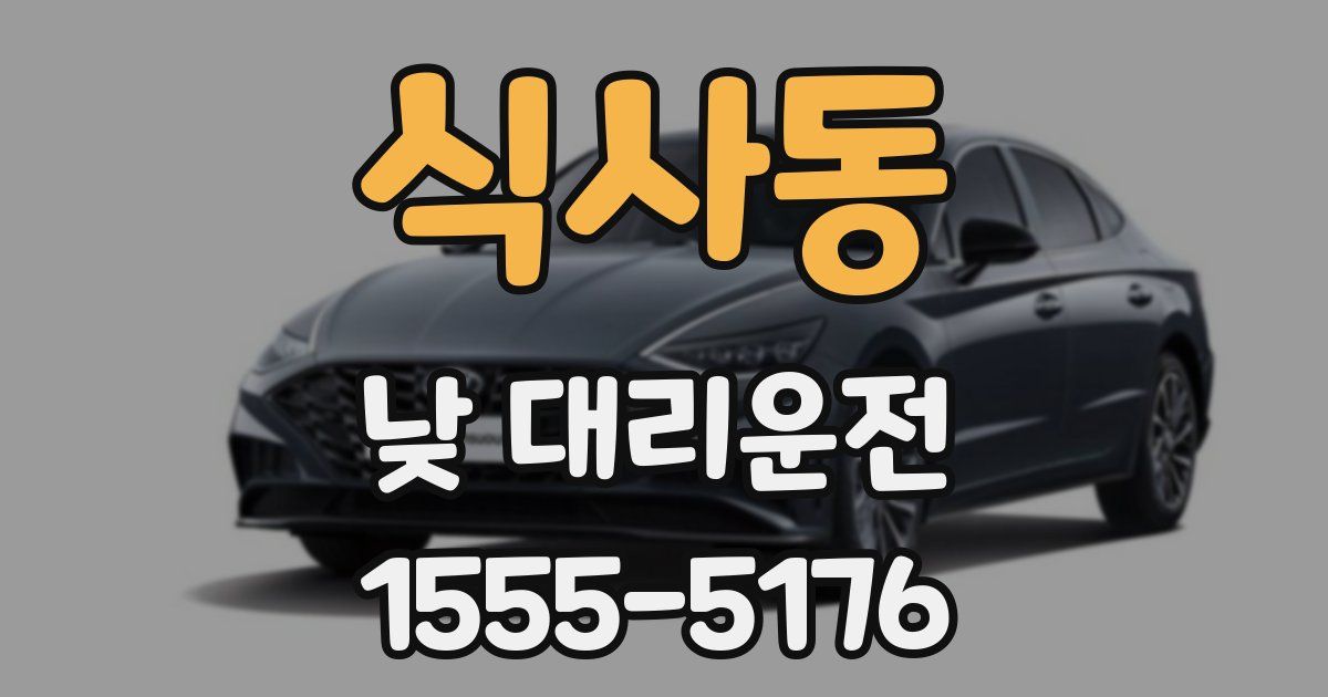 식사동 낮 대리운전