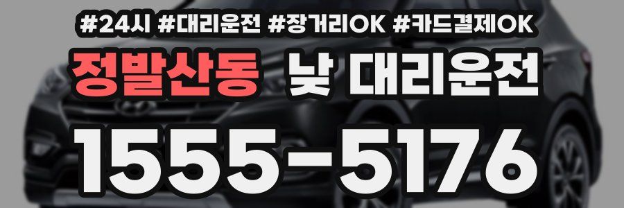 정발산동 낮 대리운전