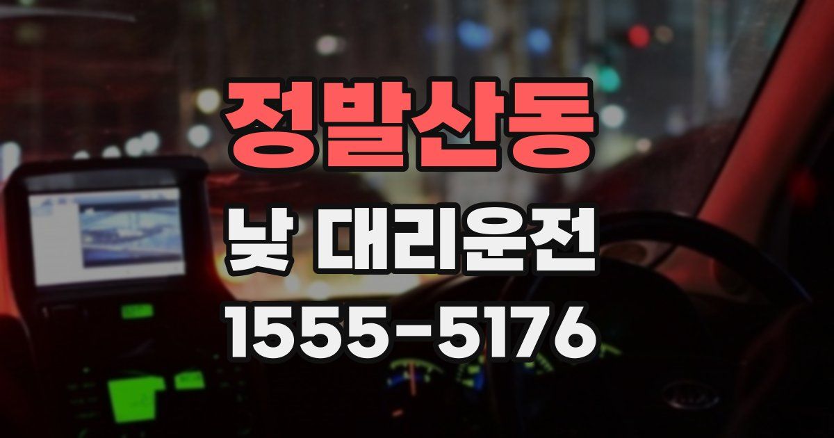 정발산동 낮 대리운전