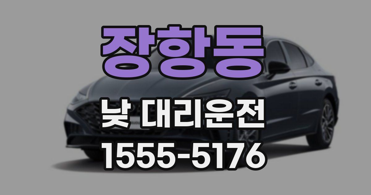 장항동 낮 대리운전