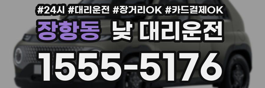 장항동 낮 대리운전