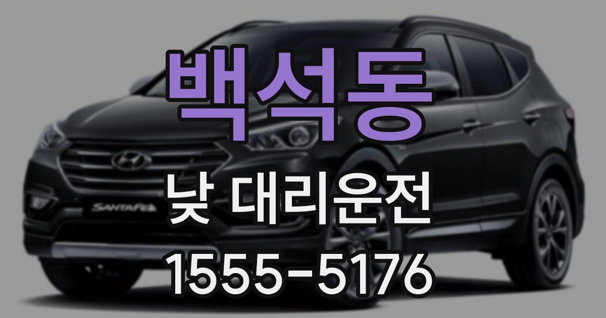 백석동 낮 대리운전