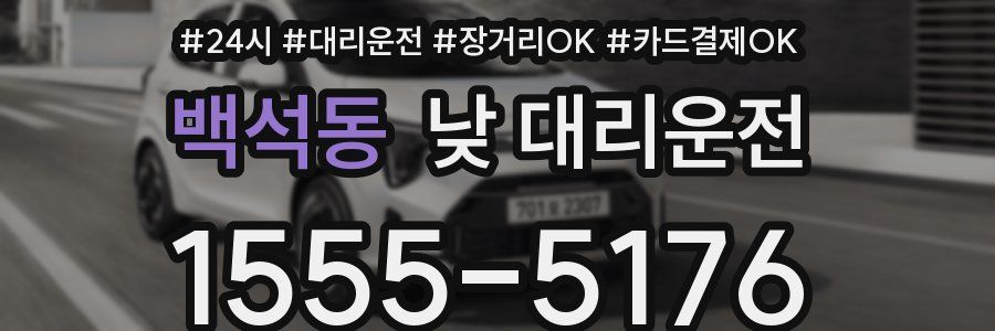 백석동 낮 대리운전