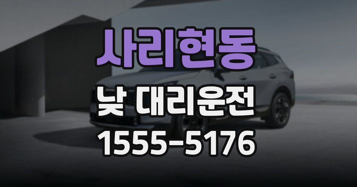사리현동 낮 대리운전