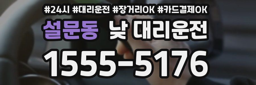 설문동 낮 대리운전