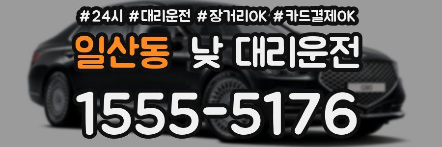 일산동 낮 대리운전