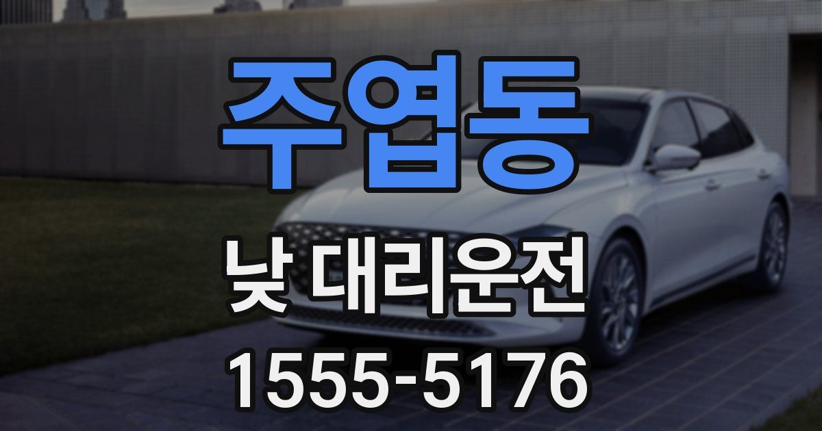 주엽동 낮 대리운전
