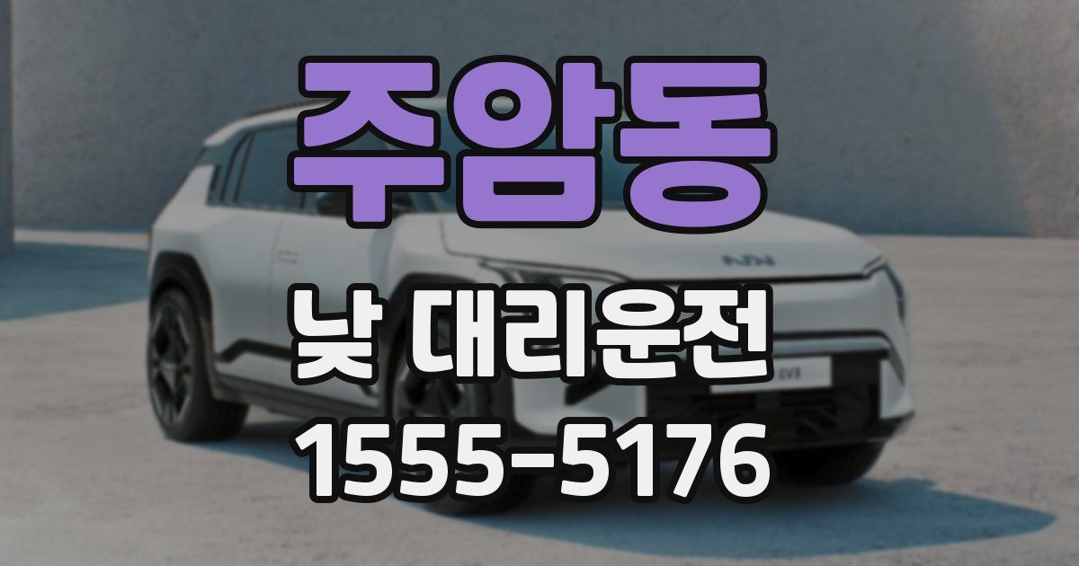 주암동 낮 대리운전