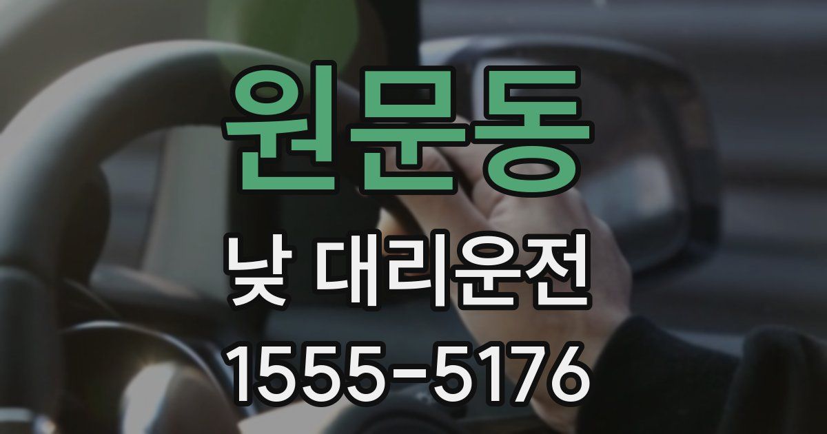 원문동 낮 대리운전