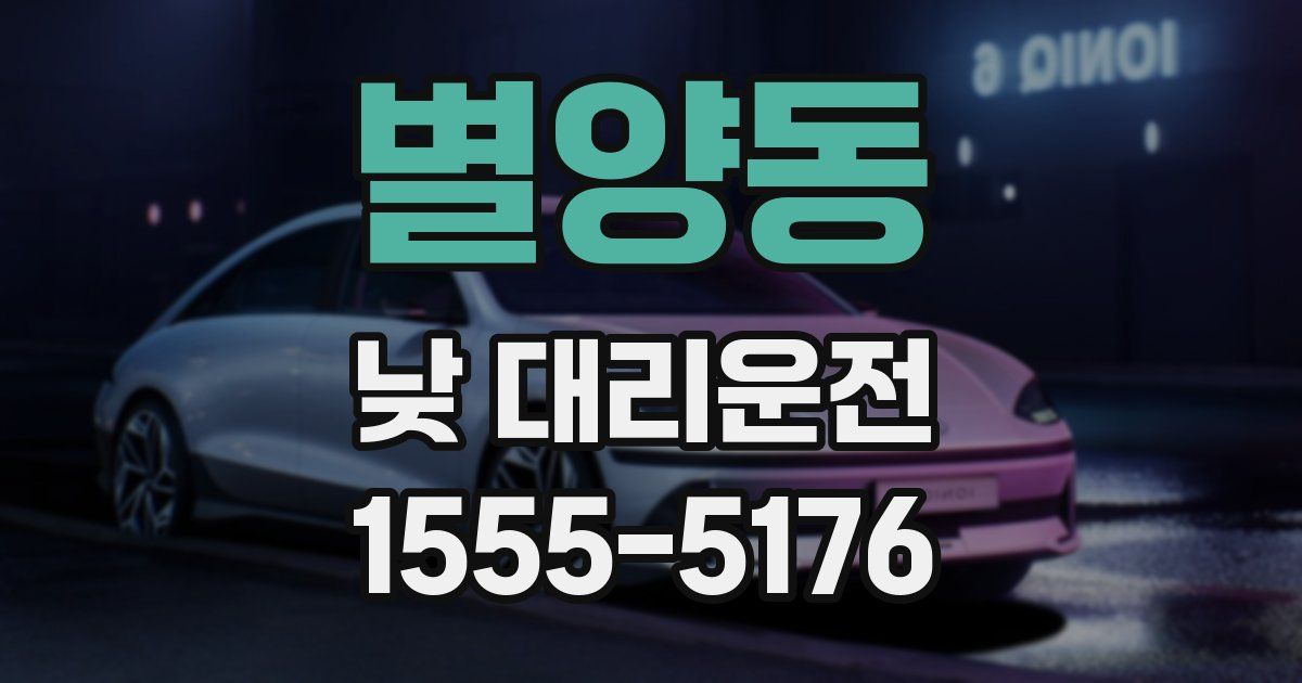 별양동 낮 대리운전