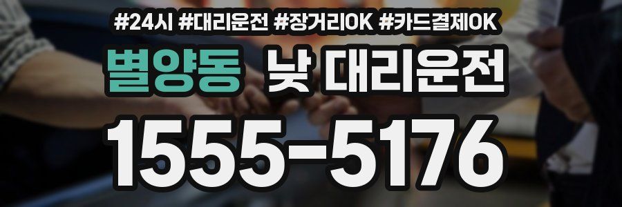 별양동 낮 대리운전