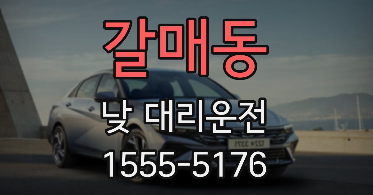 갈매동 낮 대리운전