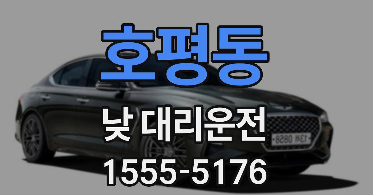 호평동 낮 대리운전