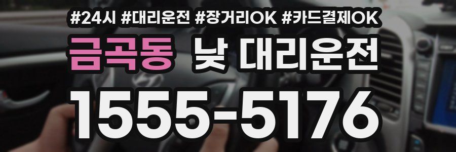 금곡동 낮 대리운전