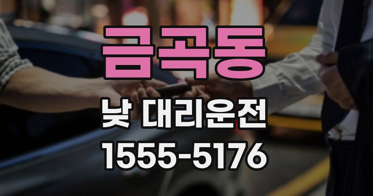 금곡동 낮 대리운전