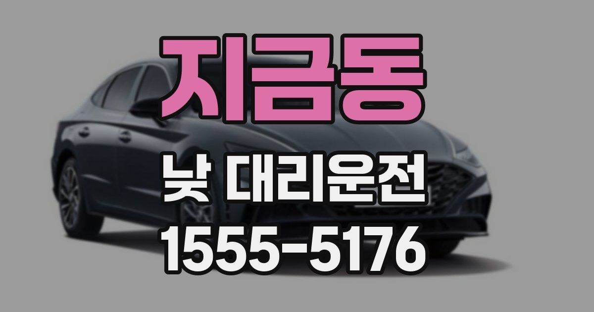 지금동 낮 대리운전