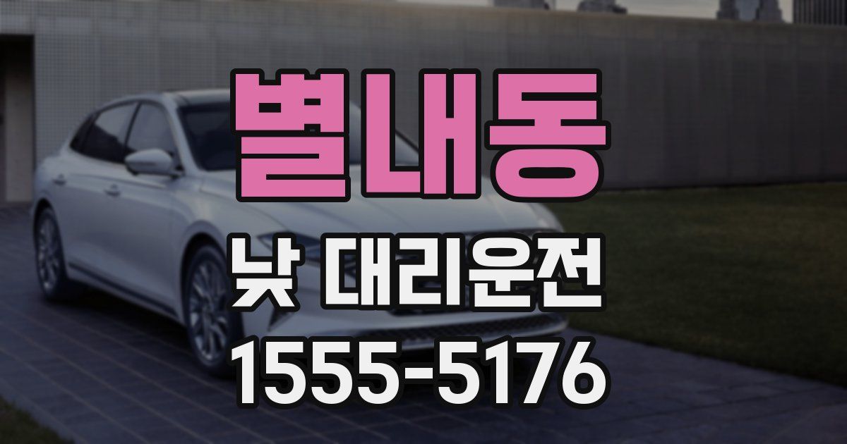 별내동 낮 대리운전